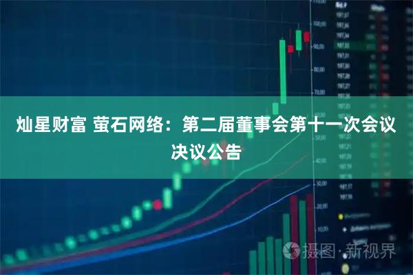 灿星财富 萤石网络：第二届董事会第十一次会议决议公告